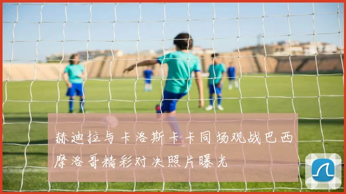 赫迪拉与卡洛斯卡卡同场观战巴西摩洛哥精彩对决照片曝光