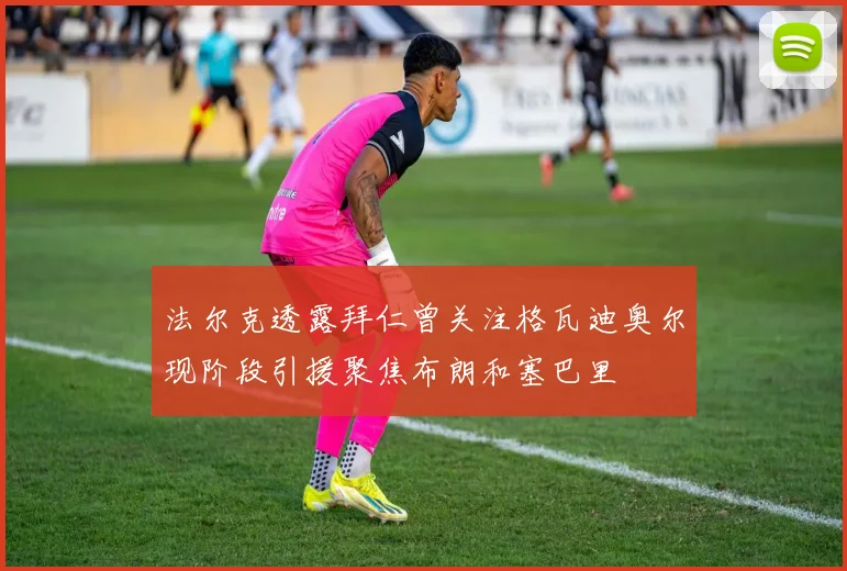 法尔克透露拜仁曾关注格瓦迪奥尔现阶段引援聚焦布朗和塞巴里