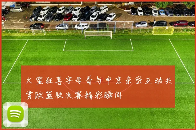 火蜜狂喜字母哥与申京亲密互动共赏欧篮联决赛精彩瞬间