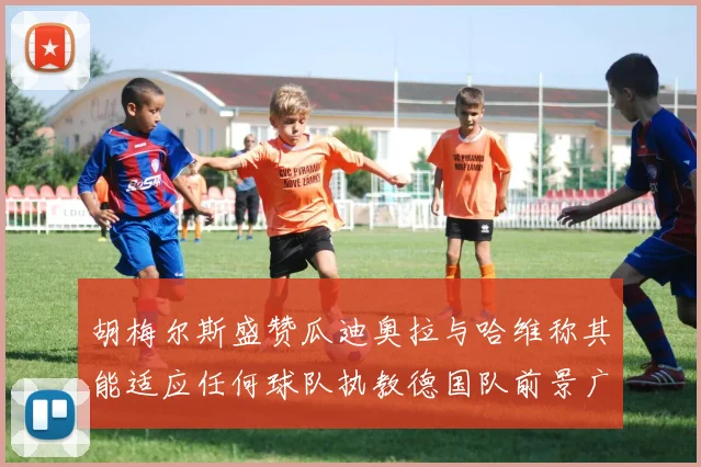 胡梅尔斯盛赞瓜迪奥拉与哈维称其能适应任何球队执教德国队前景广阔